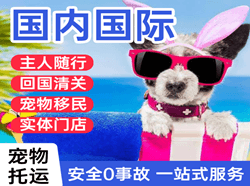 西双版纳嘎洒航空物流国际宠物托运 【国